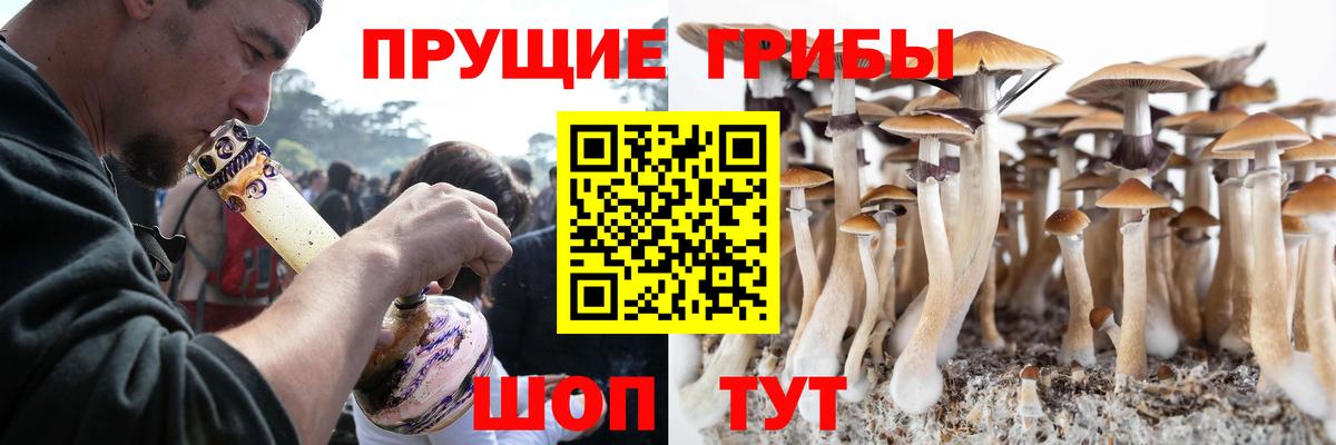 Псилоцибиновые грибы Psilocybine cubensis  Галлюциногенные грибы MAGIC MUSHROOMS  Карабулак  Вход с VPN 